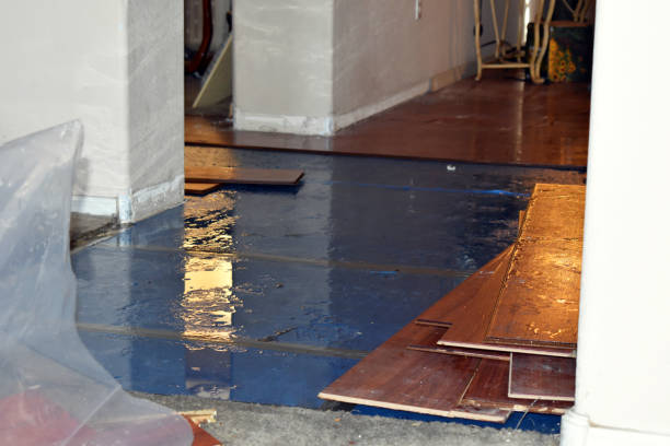 Professional Water Extraction technician working in Pewamo, MI